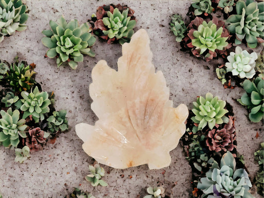 Polished Crystal - Flower Agate Leaf