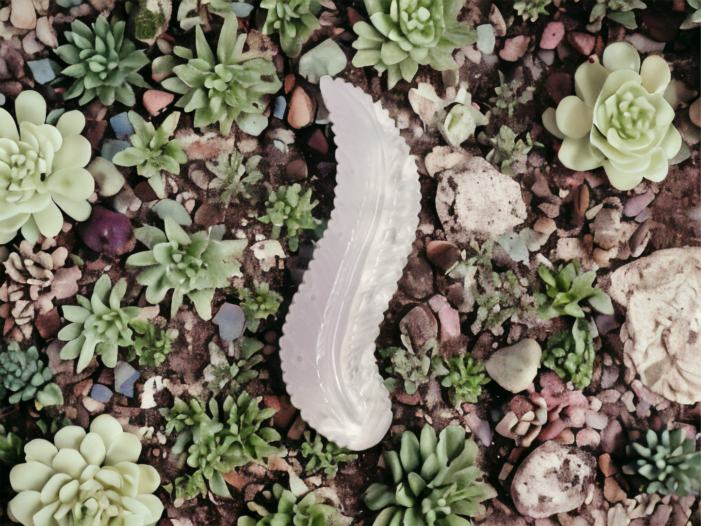 Polished Crystal - Flourite Leaf