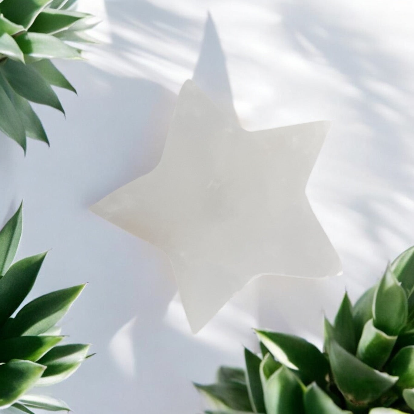 Selenite Star Charging Plate 10cm